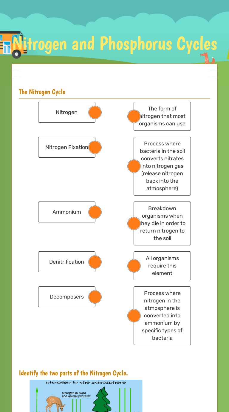 Nitrogen and Phosphorus Cycles  Interactive Worksheet by Jesse Pertaining To Nitrogen Cycle Worksheet Answer Key