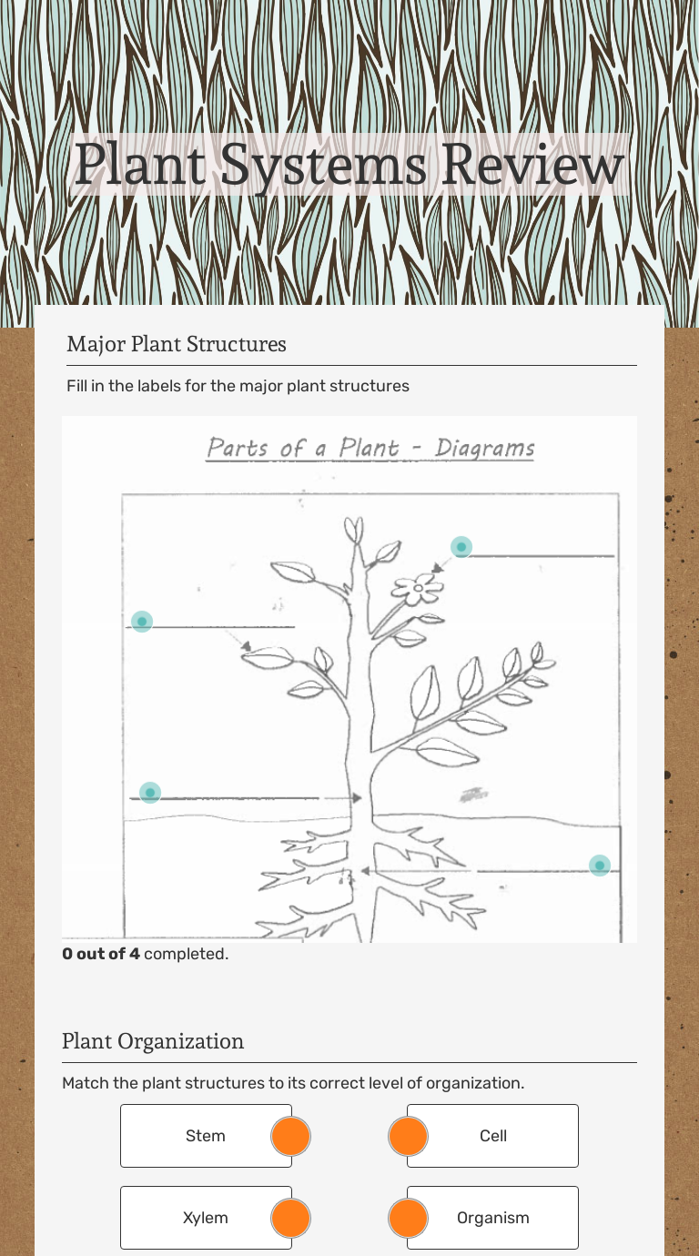 Plant Systems Review | Interactive Worksheet By Larry Burton | Wizer.me