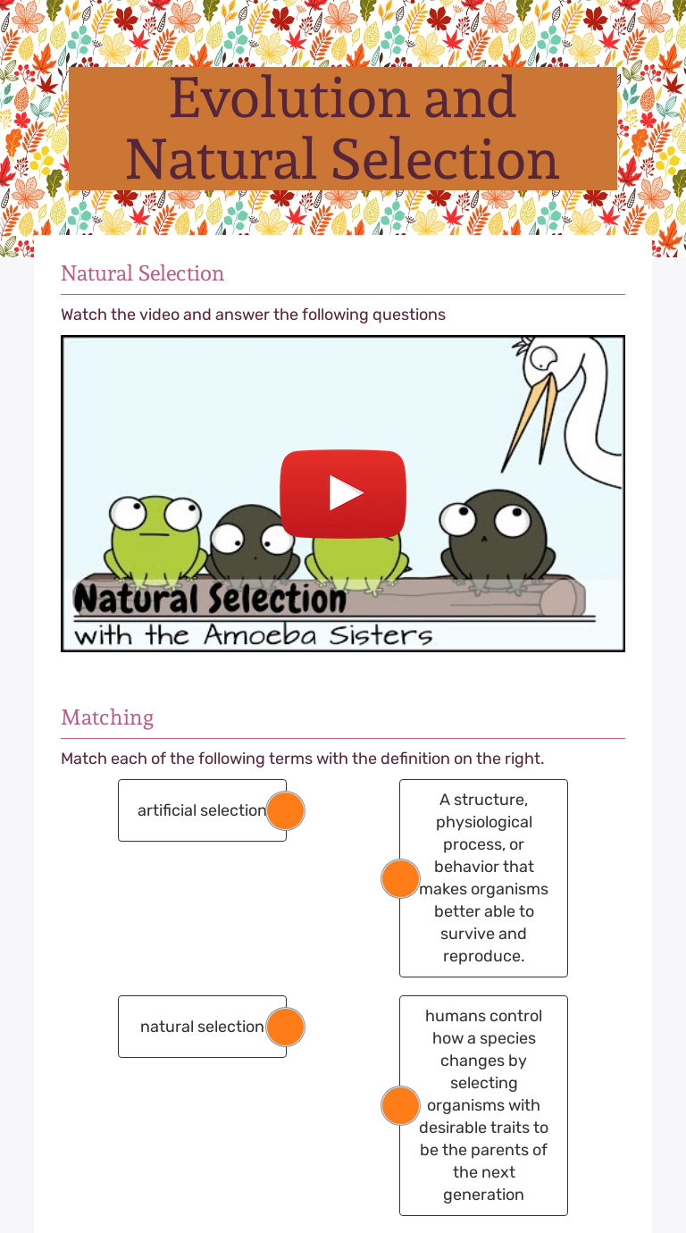 Evolution and Natural Selection Interactive Worksheet by Arionne