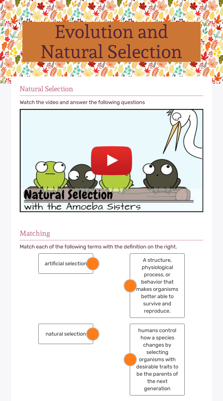 evolution-and-natural-selection-interactive-worksheet-by-arionne-smith-wizer-me