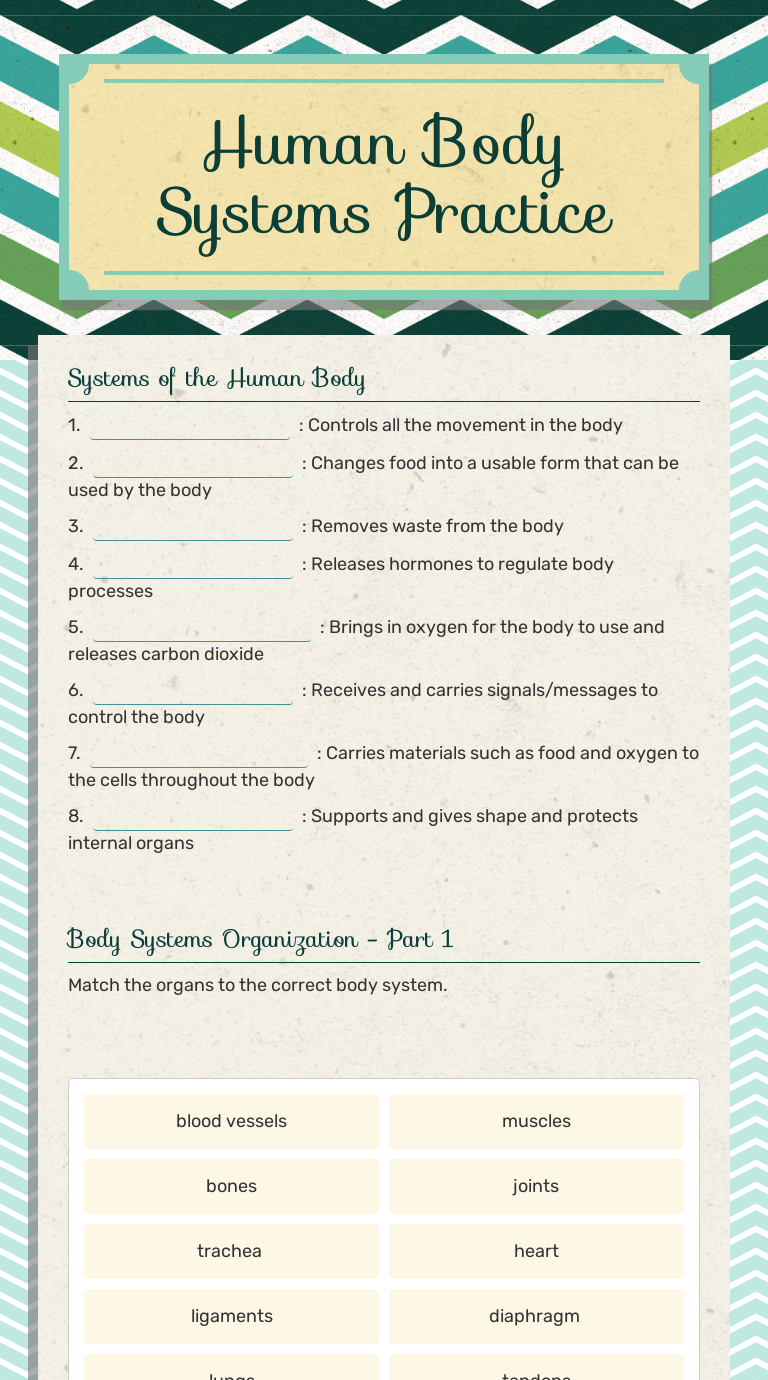 Human Body Systems Practice Interactive Worksheet by Dustin Root