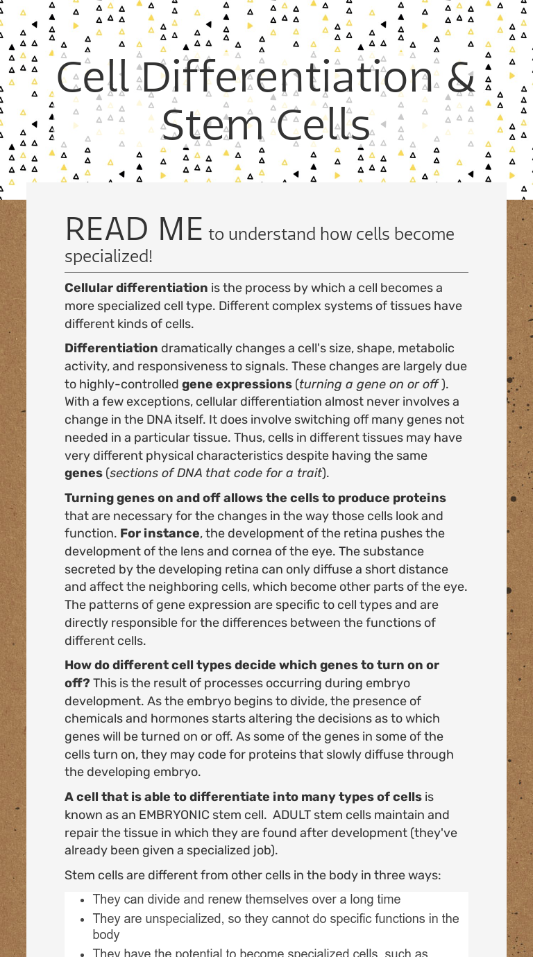 cell-differentiation-stem-cells-interactive-worksheet-by-david