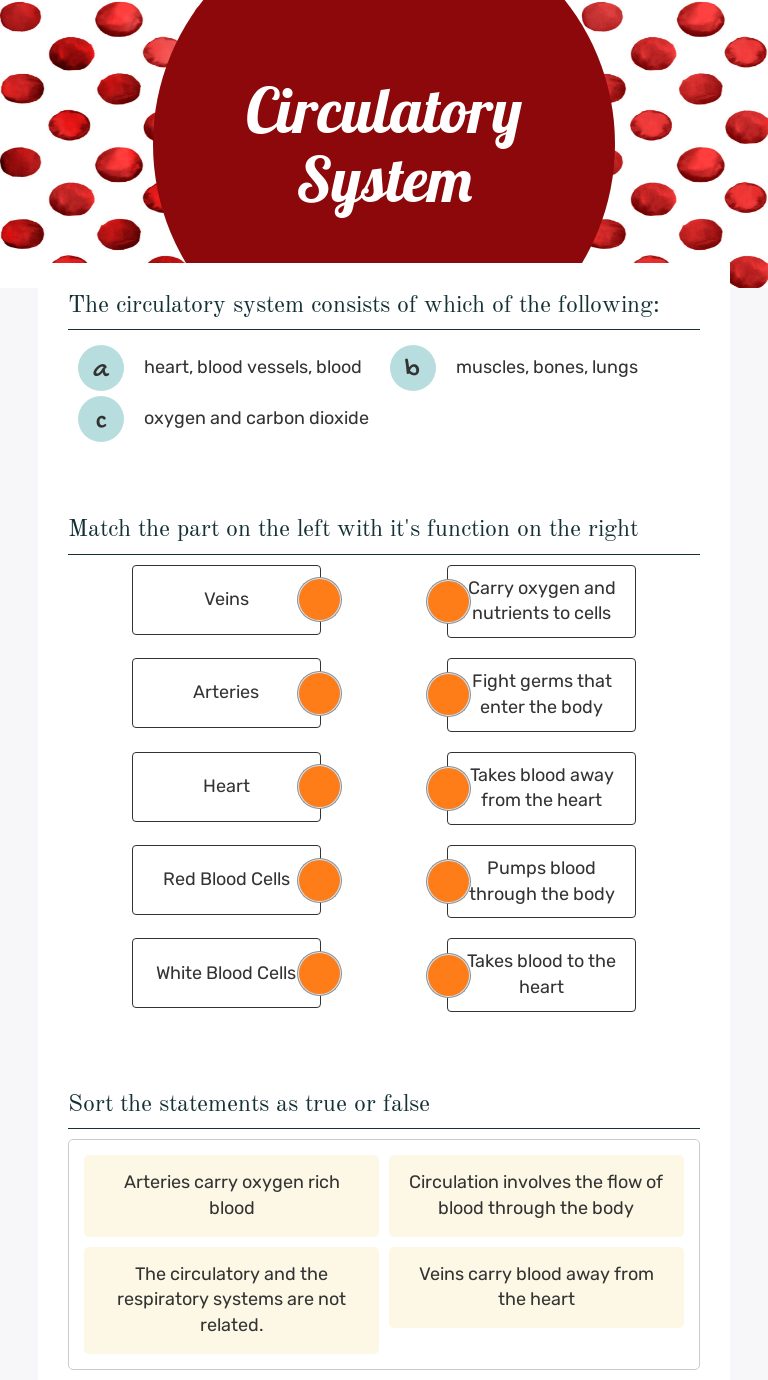Circulatory System worksheet preview