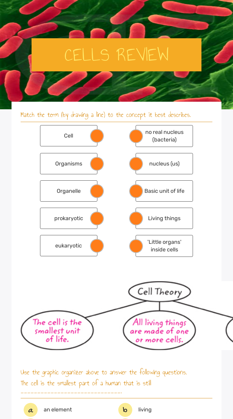 Discovering Cells Worksheet