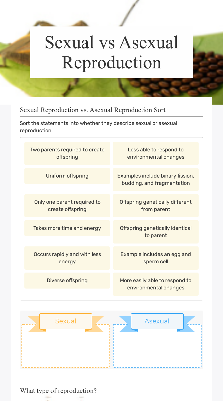 Sexual Vs Asexual Reproduction Interactive Worksheet By Singleton Amy Wizerme 5081