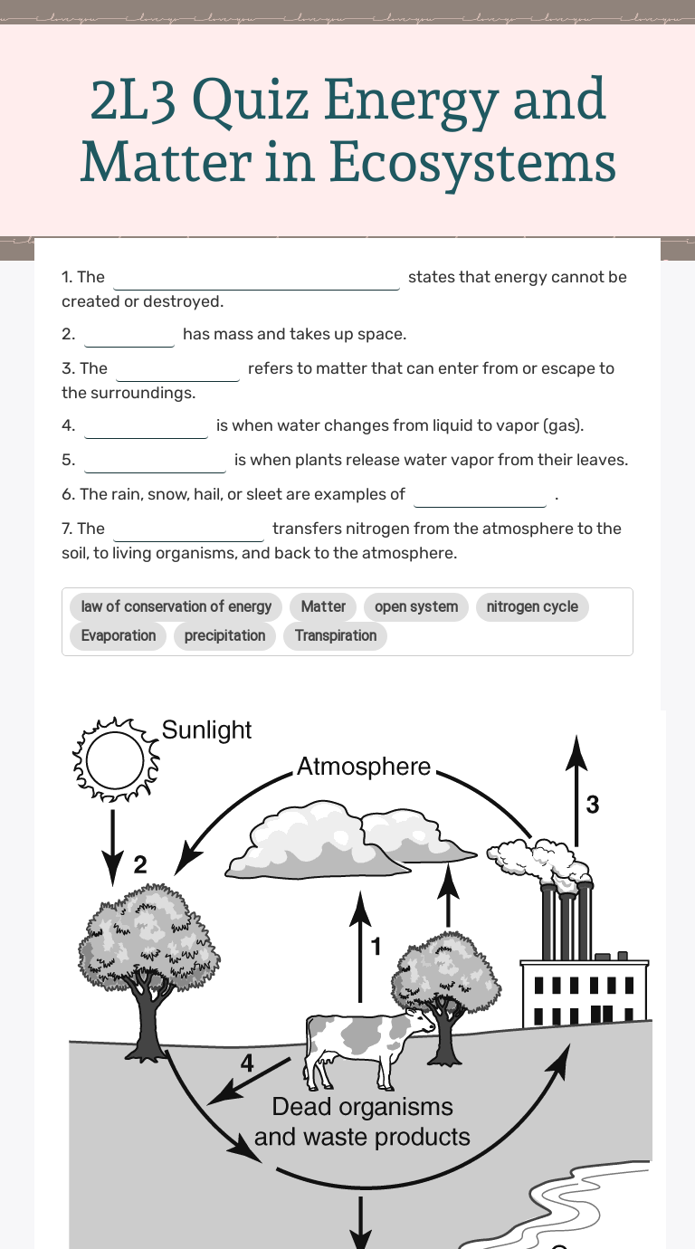 2L3 Quiz Energy and Matter in Ecosystems | Interactive Worksheet by