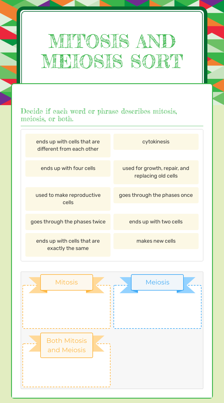 Mitosis and Meiosis Sort worksheet preview image