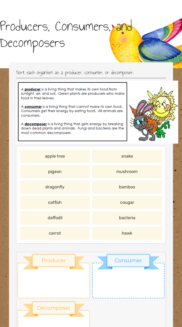 Producers, Consumers, and Decomposers  Interactive Worksheet by Inside Producers And Consumers Worksheet