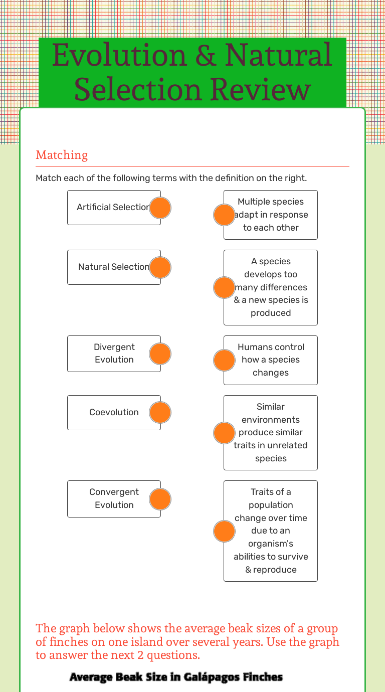 Evolution & Natural Selection Review Interactive Worksheet by Karen