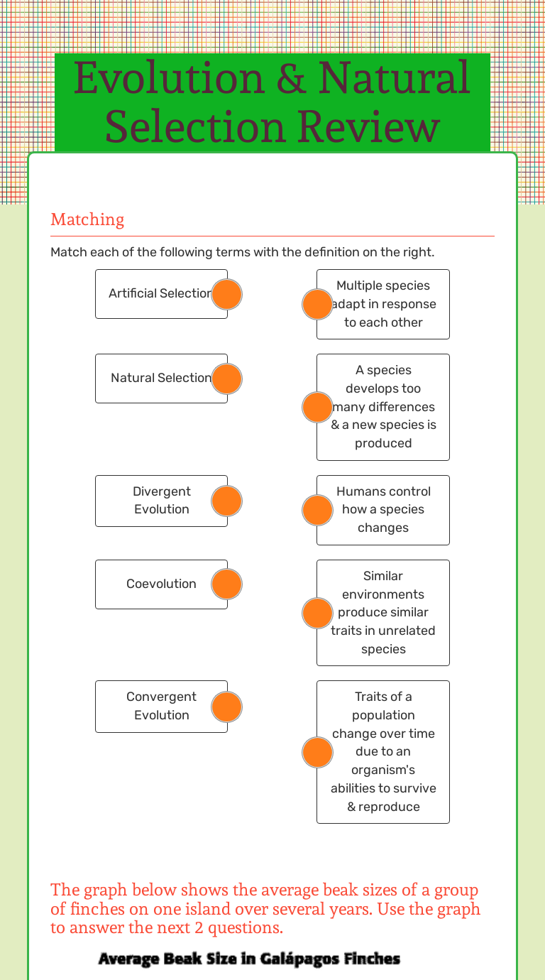 evolution-natural-selection-review-interactive-worksheet-by-karen-burke-wizer-me