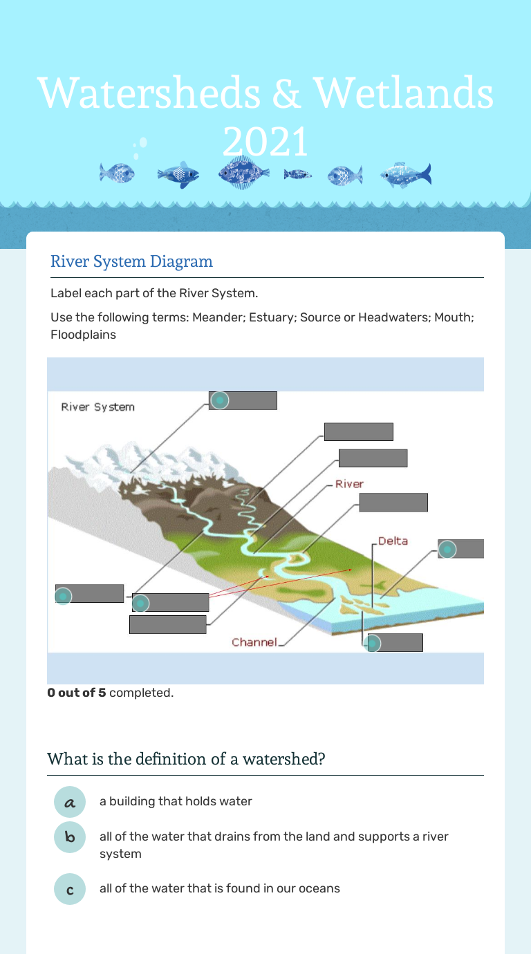 Watersheds Wetlands 2021 Interactive Worksheet By Jennifer Simms 