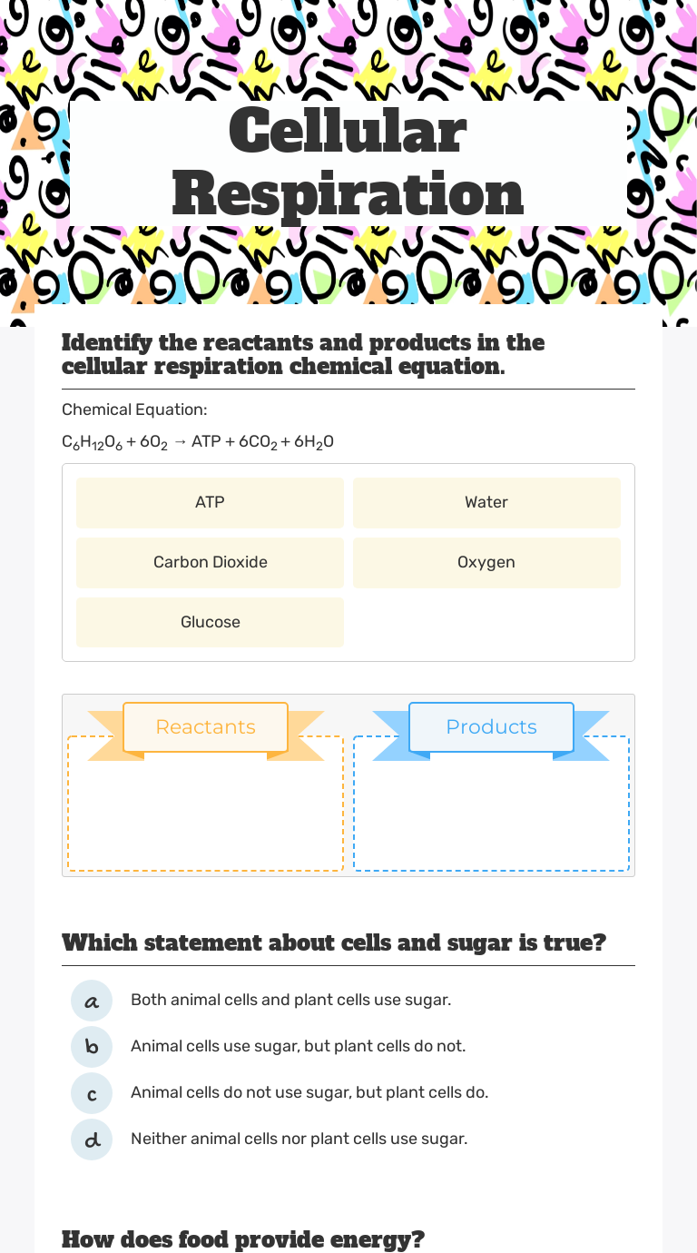 Cellular Respiration Grade 8 worksheet preview
