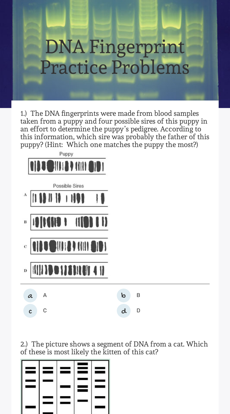 DNA Fingerprint Practice Problems  Interactive Worksheet by Regarding Dna Fingerprinting Worksheet Answers