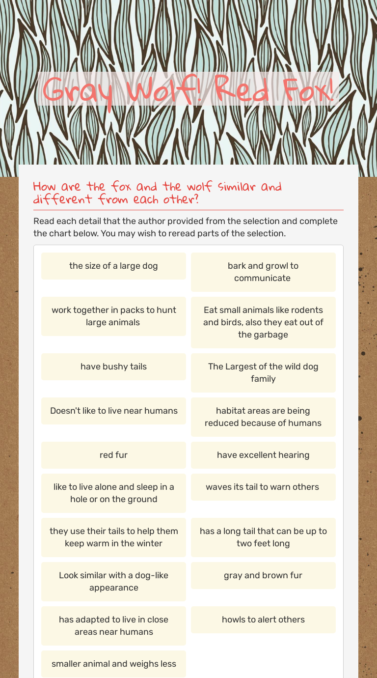 Gray Wolf! Red Fox! worksheet preview image