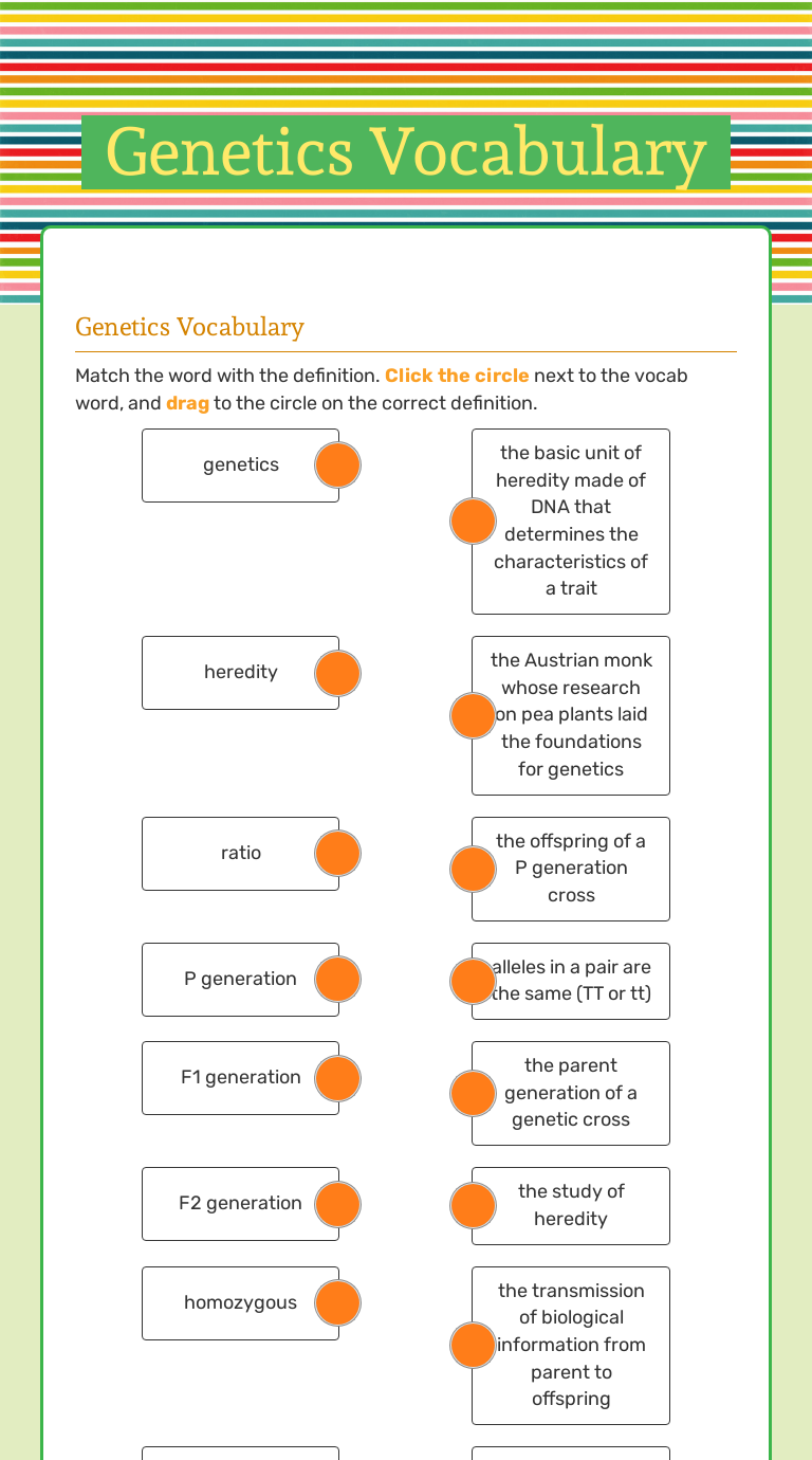 Genetics Vocabulary worksheet preview image