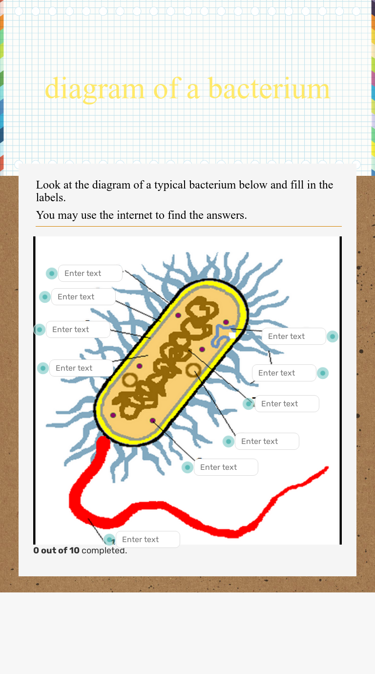 diagram of a bacterium Grade 9 worksheet preview