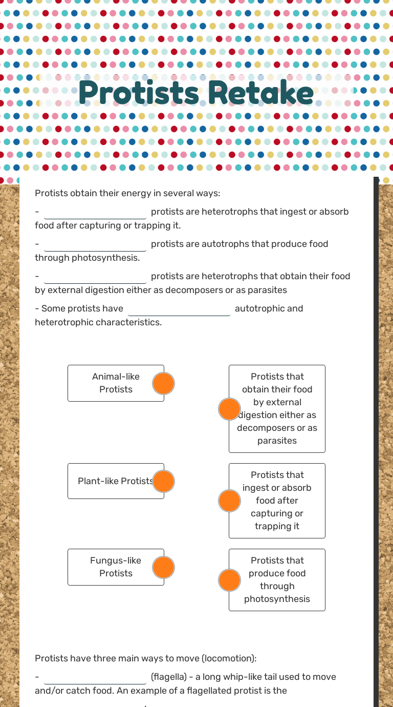 protists-retake-interactive-worksheet-by-jenniffer-riley-wizer-me