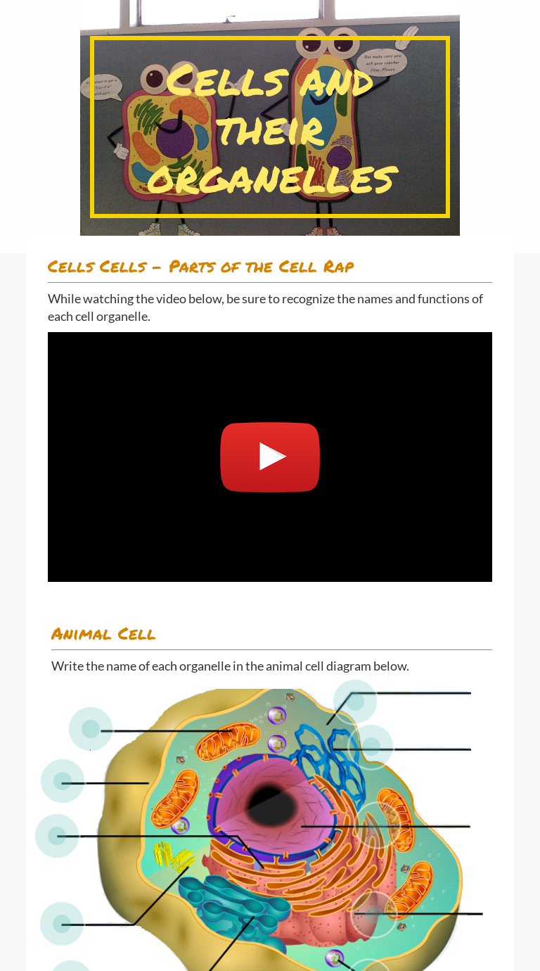 Cells and their organelles  Interactive Worksheet by Buffy McMann In Cells And Their Organelles Worksheet