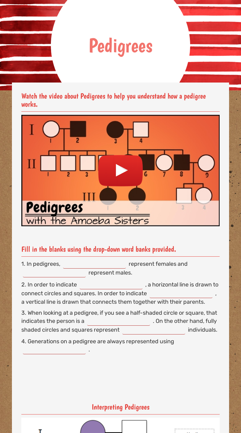 amoeba-sisters-pedigree-worksheet-answer-key-https-studylib-net-doc