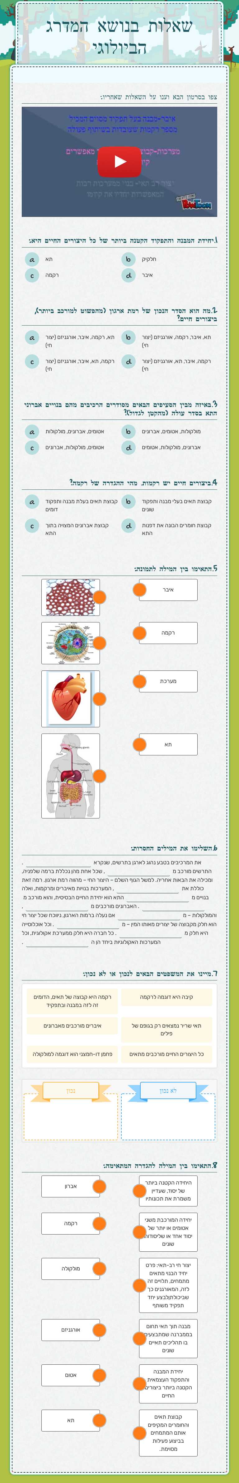שאלות בנושא המדרג הביולוגי worksheet preview image