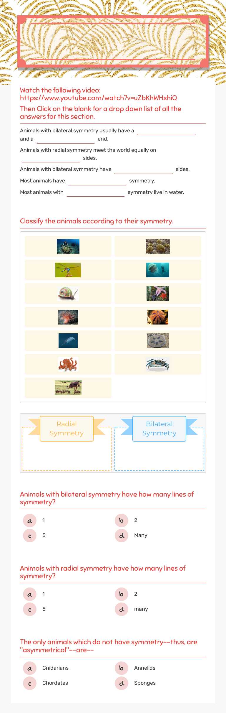 Animal            
         Symmetry worksheet preview image