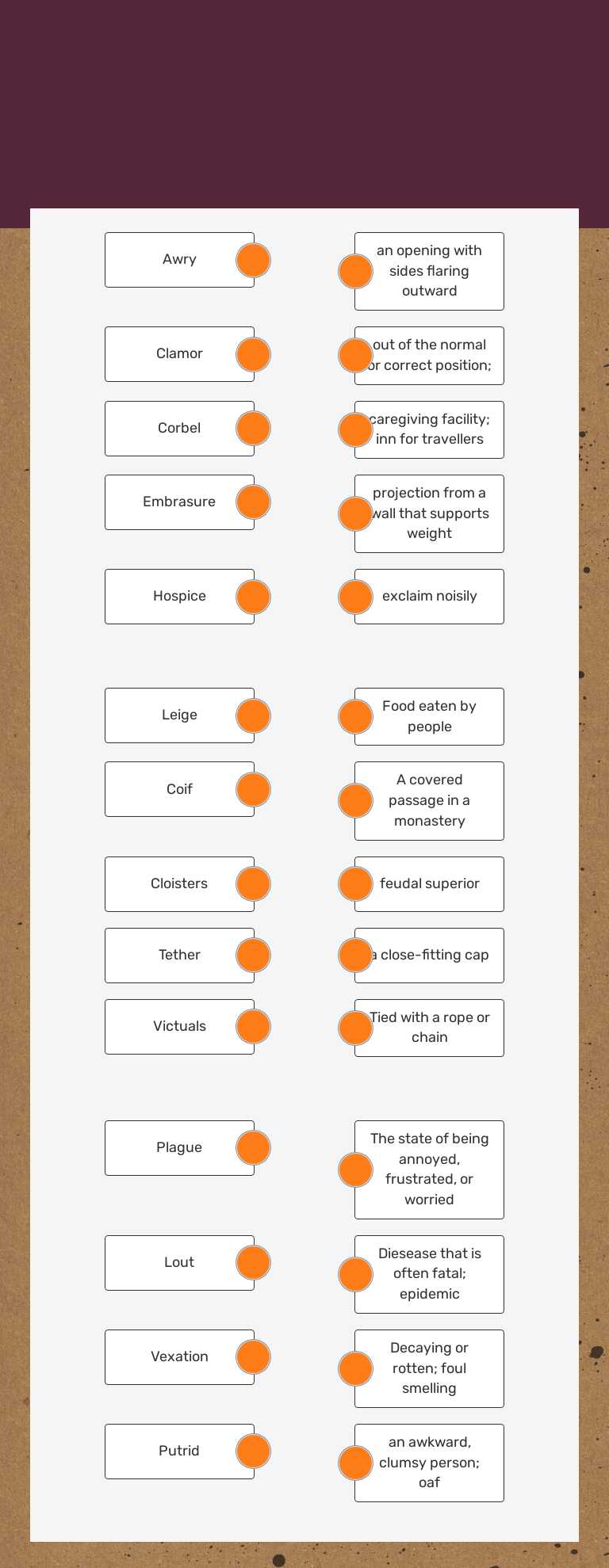 The Door in the Wall Vocab worksheet preview image