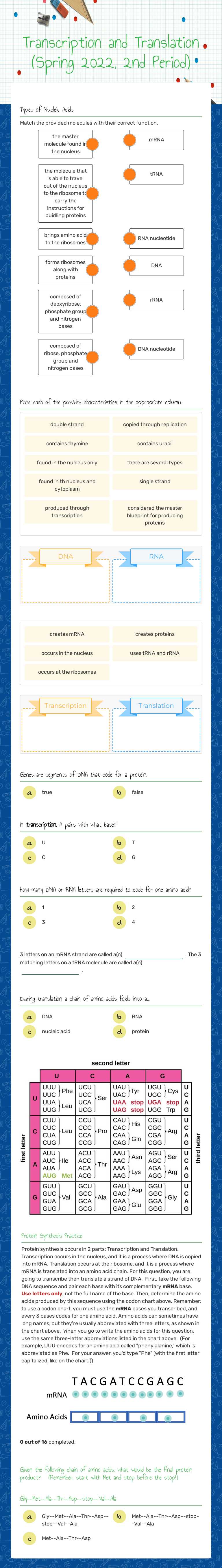 Transcription and Translation (Spring 2022, 2nd Period) worksheet preview image