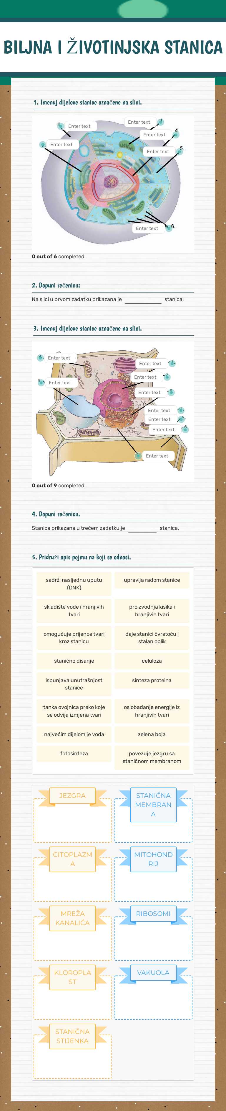 BILJNA I ŽIVOTINJSKA STANICA worksheet preview image