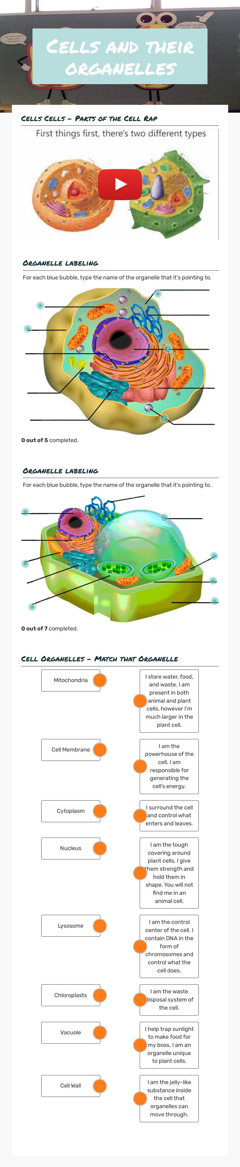 Cells and their organelles worksheet preview image