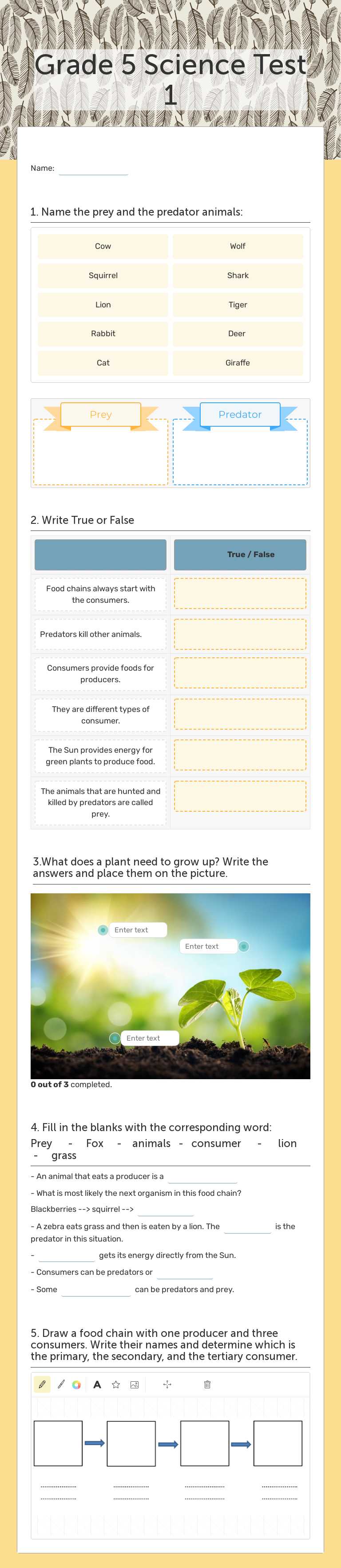 Grade 5 Science Test 1 worksheet preview image