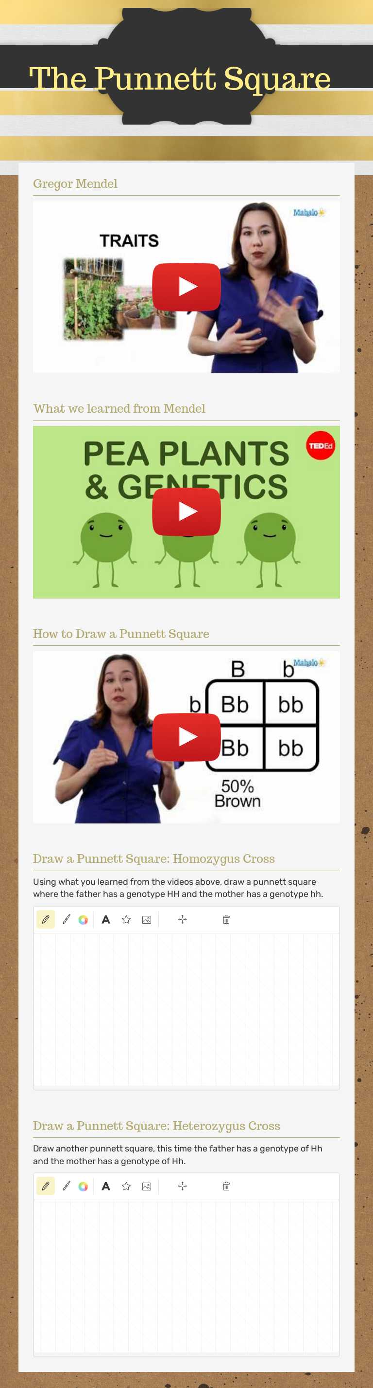 The Punnett Square worksheet preview image