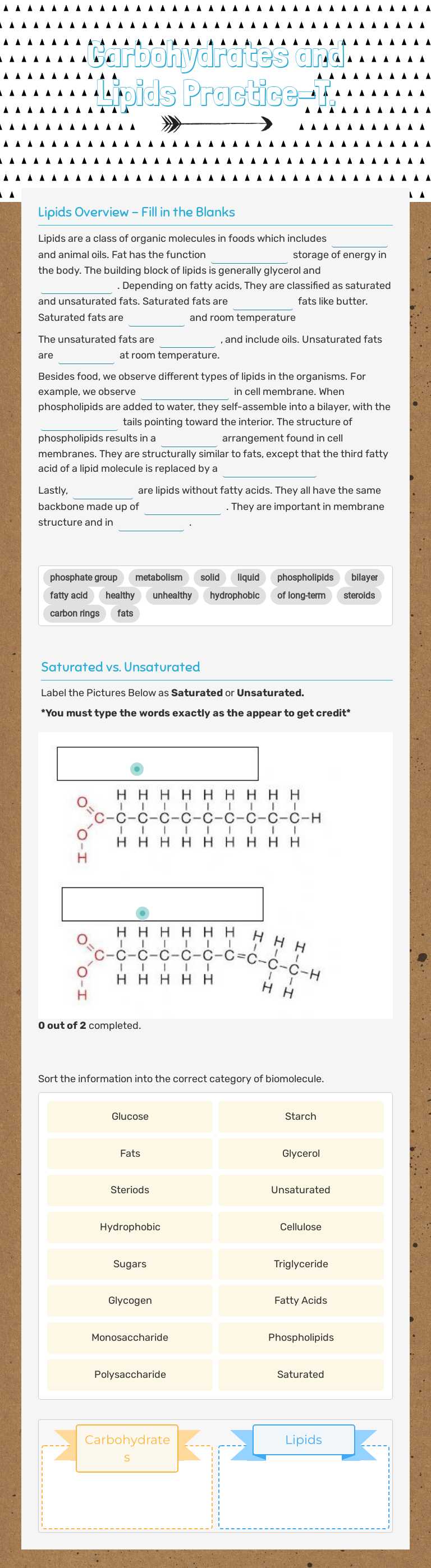 Carbohydrates and Lipids Practice-T. worksheet preview image