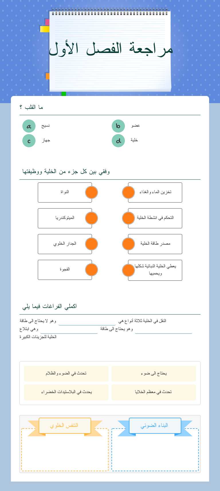 مراجعة الفصل الأول worksheet preview image