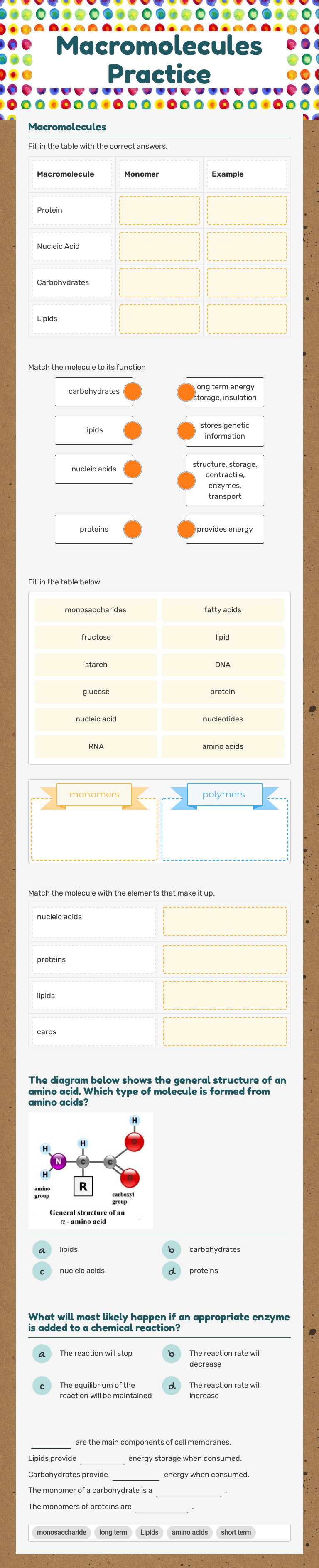Macromolecules Practice worksheet preview image