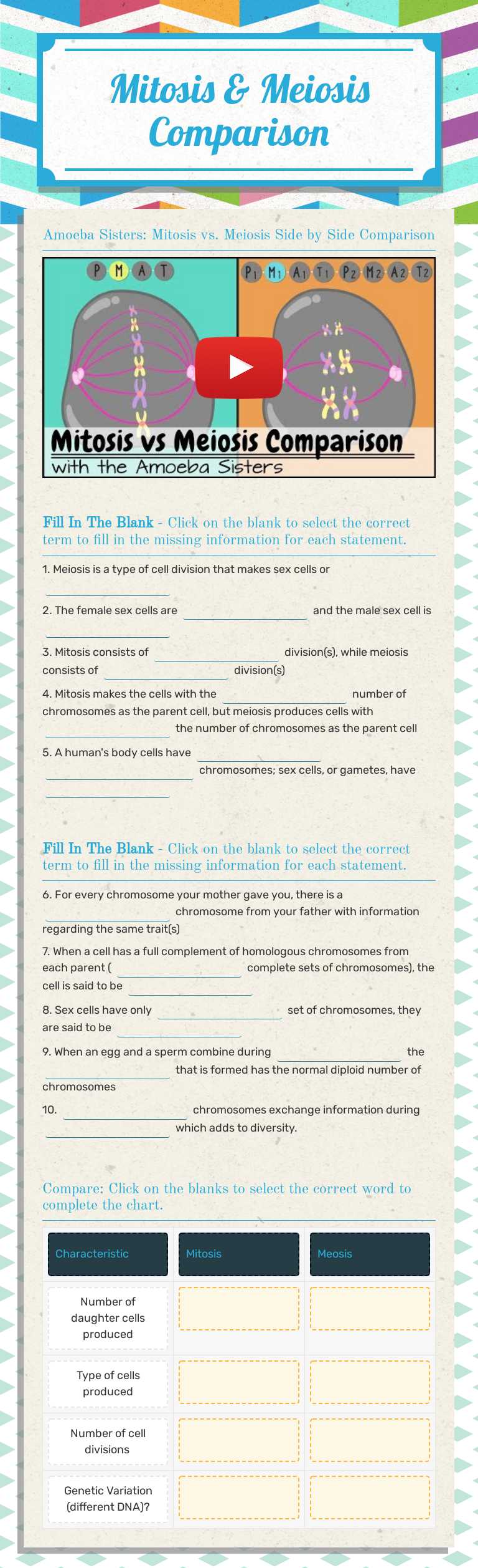 Mitosis & Meiosis Comparison worksheet preview image