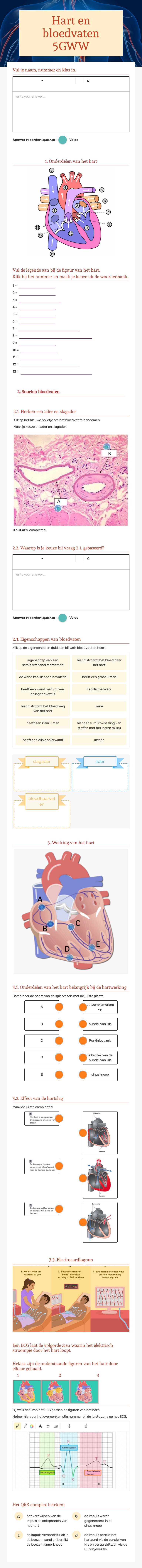 Hart en bloedvaten 5GWW worksheet preview image