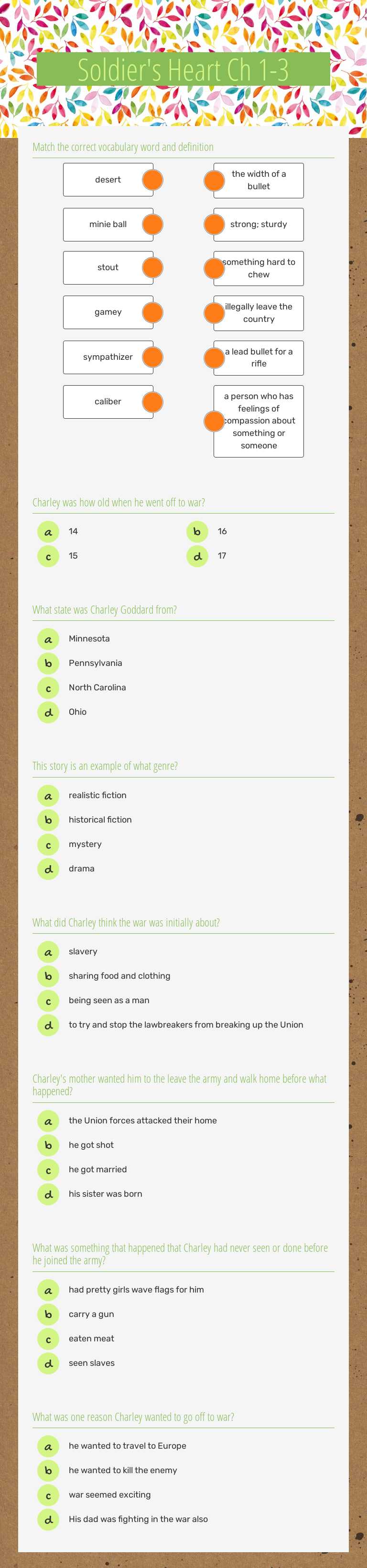 Soldier's Heart Ch 1-3 worksheet preview image