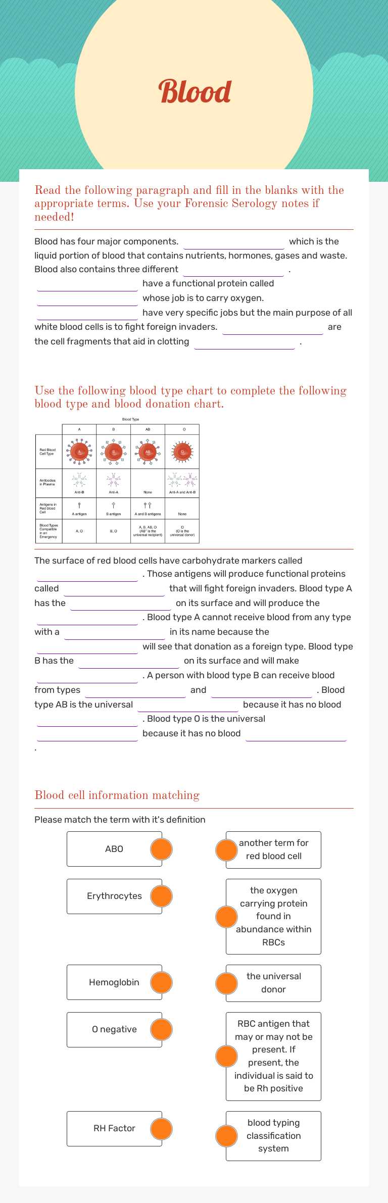 Blood worksheet preview image