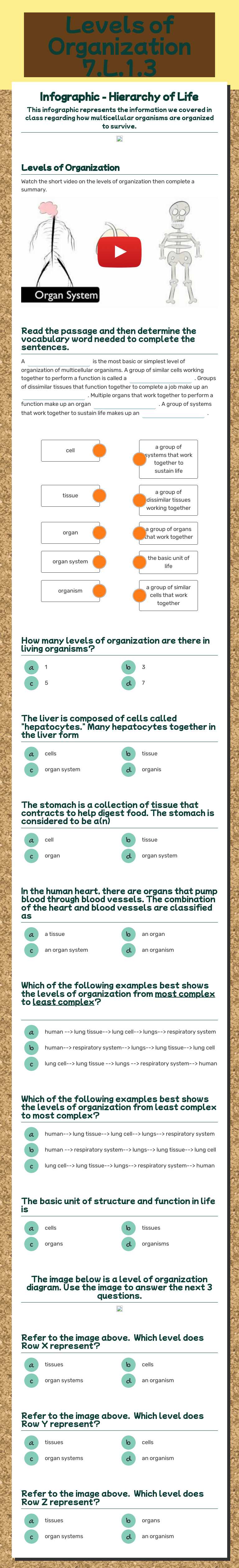 Levels of Organization 7.L.1.3 Grade 5 worksheet preview