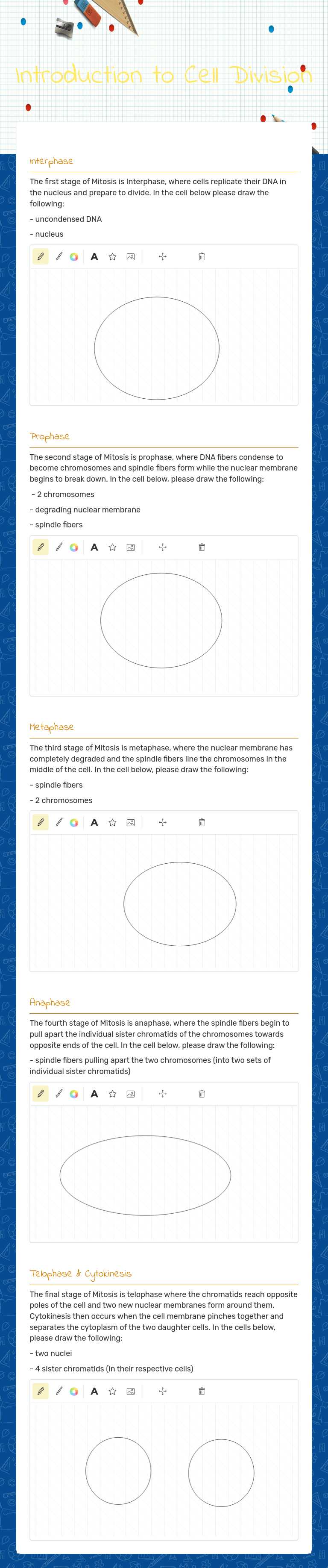 Introduction to Cell Division worksheet preview image