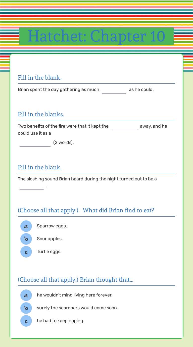 Hatchet: Chapter 10 worksheet preview image