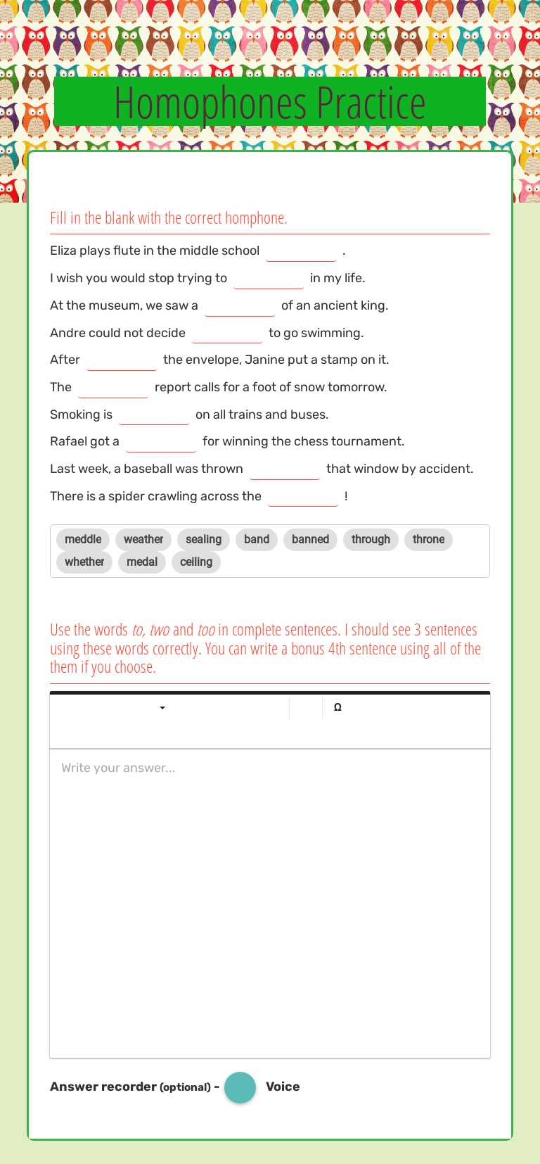 Homophones Practice worksheet preview image