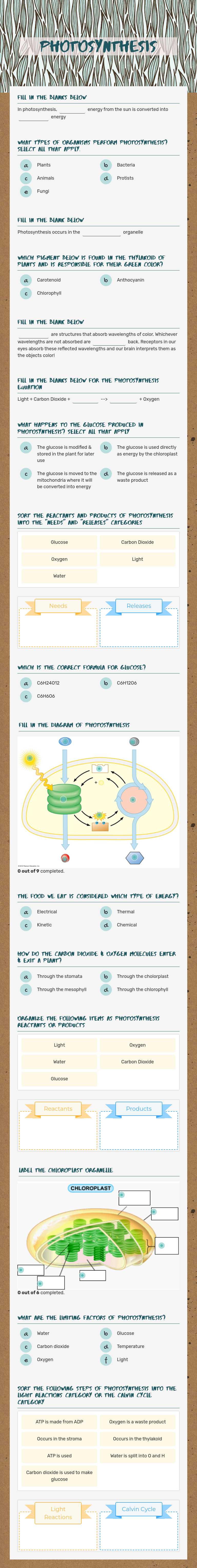 Photosynthesis worksheet preview image