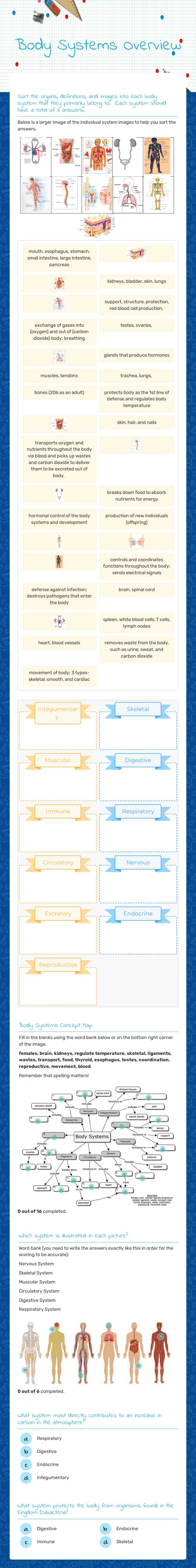 Body Systems Overview by Jennifer Mojica | Interactive Worksheet | Wizer.me