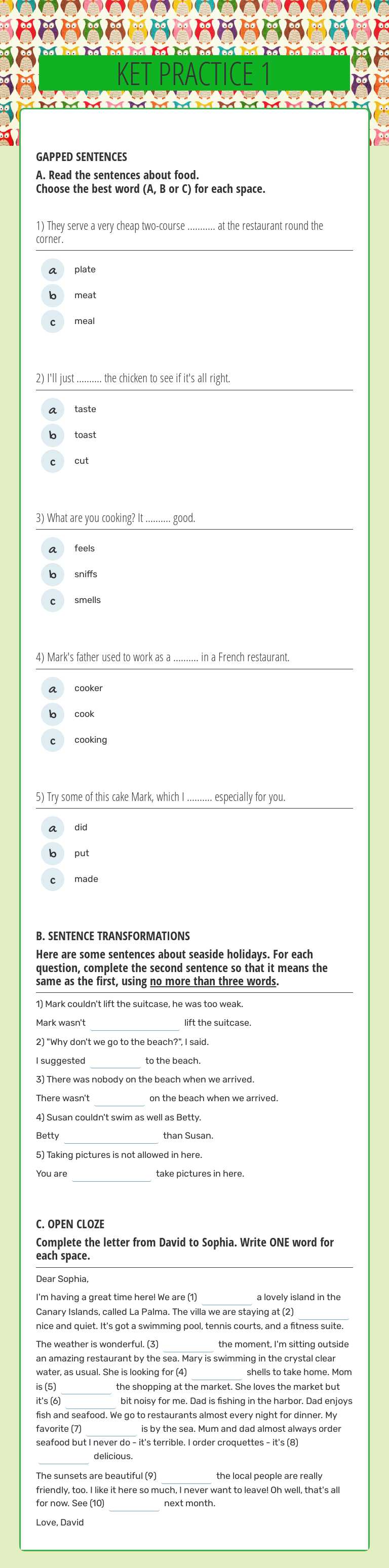 KET PRACTICE 1 worksheet preview image