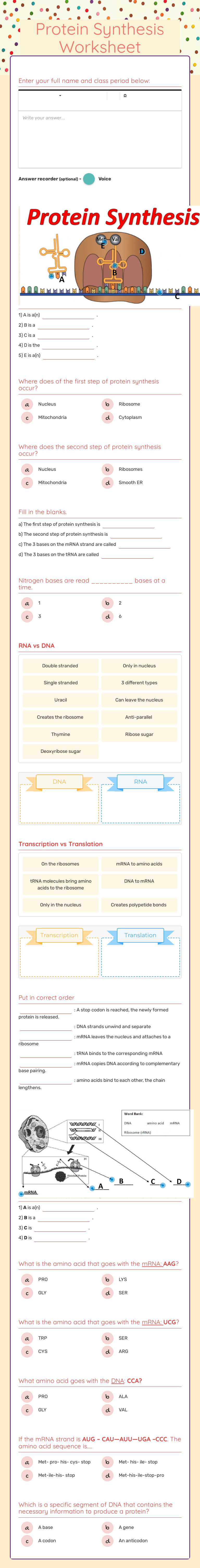 Protein Synthesis Worksheet Grade 10 worksheet preview