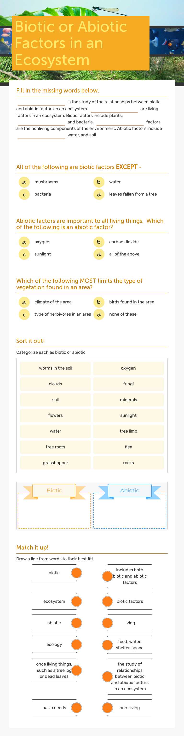 Biotic or Abiotic Factors in an Ecosystem worksheet preview image