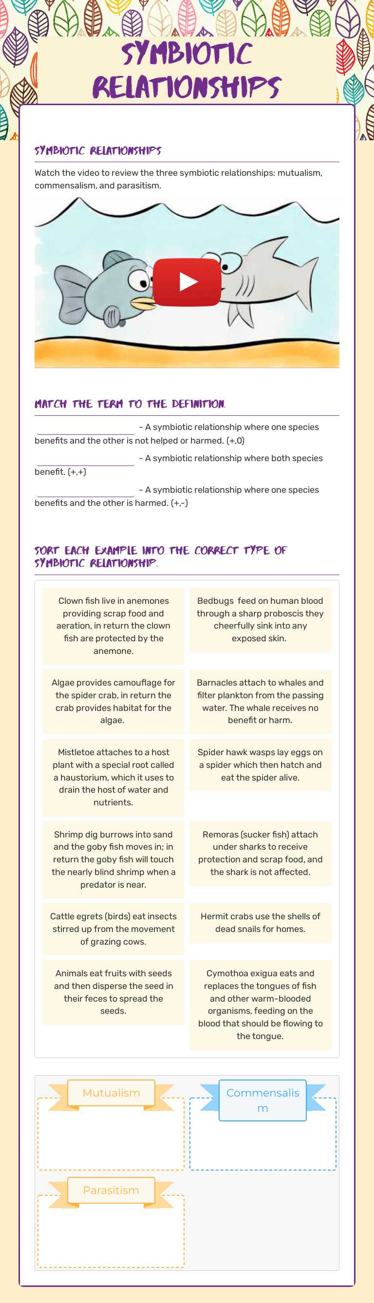 Symbiotic Relationships worksheet preview image