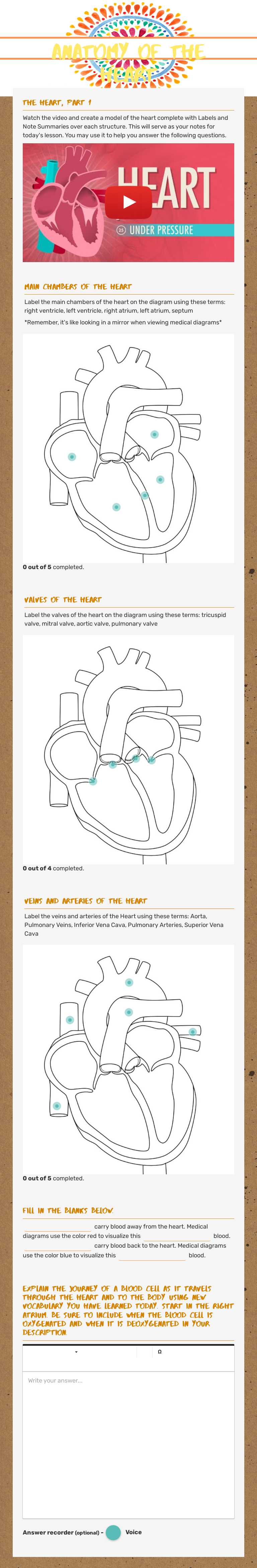 Anatomy of the heart worksheet preview image