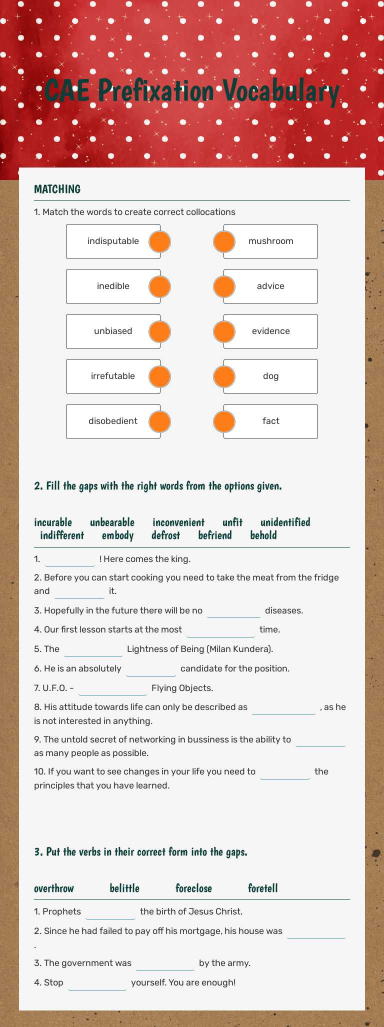 CAE Prefixation Vocabulary worksheet preview image
